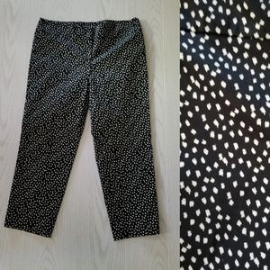 Ann Taylor Capri